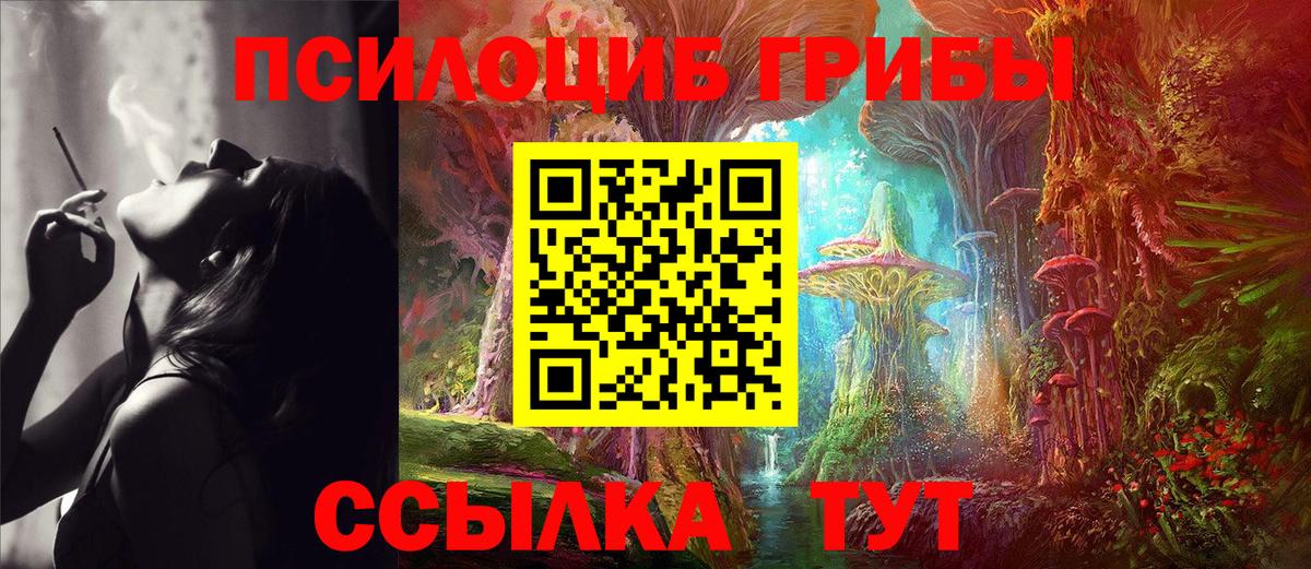 Галлюциногенные грибы мухоморы  как найти   Пенза  Вход с VPN  Псилоцибиновые грибы мицелий 